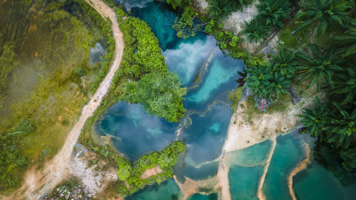 High angle view of waterfall along trees