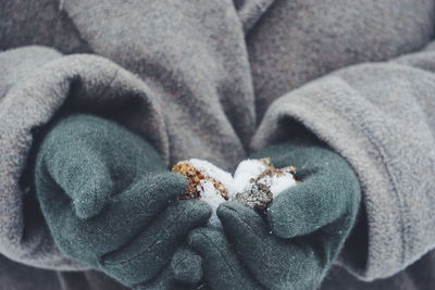 Midsection of woman holding pine cones with snow