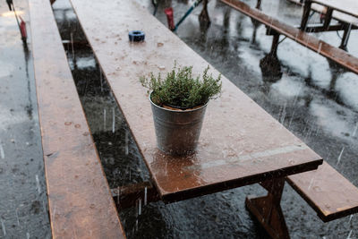High angle view of potted plant on picnic table during rainfall