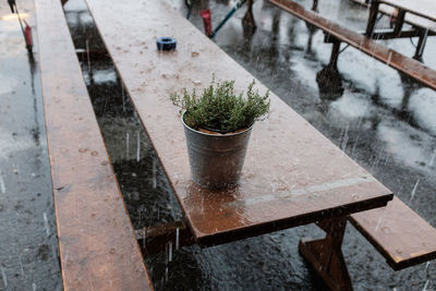 High angle view of potted plant on snow