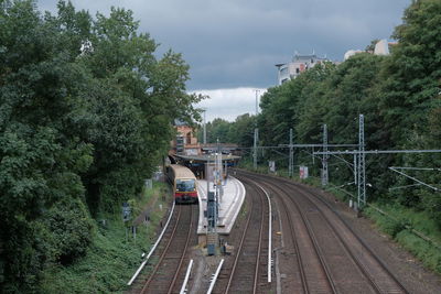 Railway tracks amidst trees 