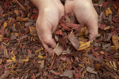 Midsection of person holding dry leaves during autumn