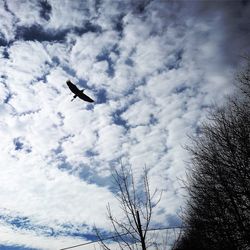 Low angle view of airplane flying against cloudy sky