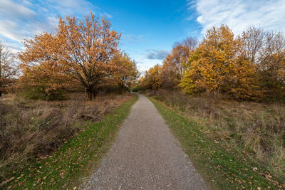 Road amidst trees against sky during autumn