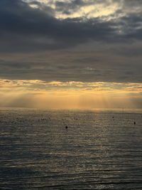 sunlight