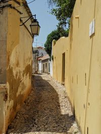 Alley amidst houses against sky