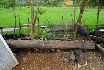 View of agricultural field