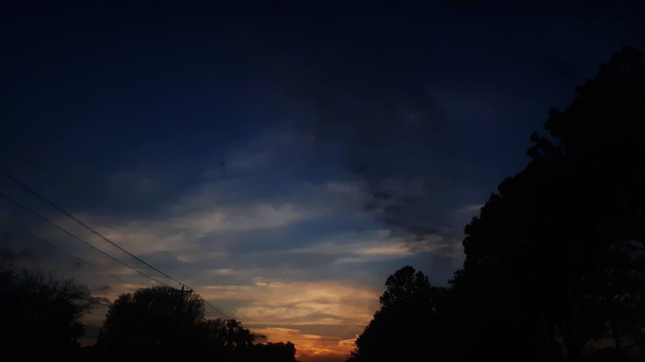 LOW ANGLE VIEW OF SILHOUETTE TREES AGAINST SKY AT DUSK