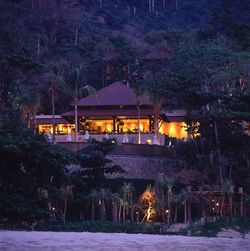 Illuminated building by trees at night