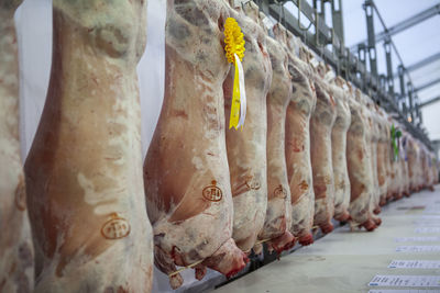 Close-up of pork hanging at factory