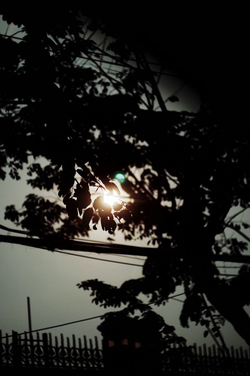 LOW ANGLE VIEW OF SILHOUETTE TREES AGAINST SKY