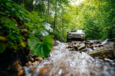 Surface level of mountain stream by the road and suv car amidst trees in forest