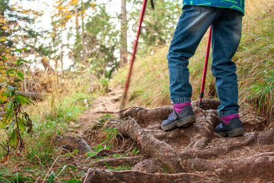 Low section of man walking on trail in forest