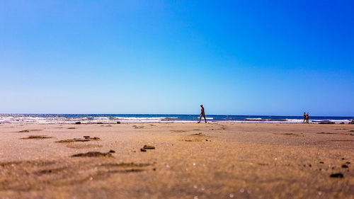 Scenic view of beach against clear blue sky