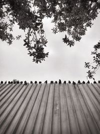 Low angle view of fence on landscape against sky