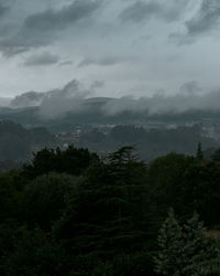 Scenic view of forest against sky