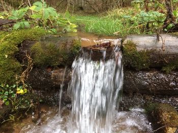 Scenic view of waterfall