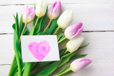 Close-up of pink tulip on table