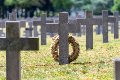 A lot of small, concrete crosses at the german war cemetery in the netherlands.