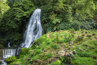 View of natural park of ribeira dos caldeiroes located in sao miguel island, azores, portugal.