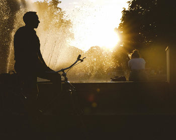 Rear view of silhouette people at music concert