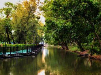 Scenic view of lake amidst trees