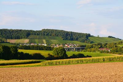 Scenic view of agricultural field against sky