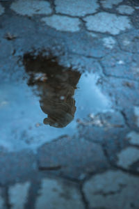 High angle view of woman reflection in water on land