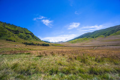 Scenic view of field and mountains against blue sky