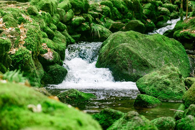 River flowing through rocks