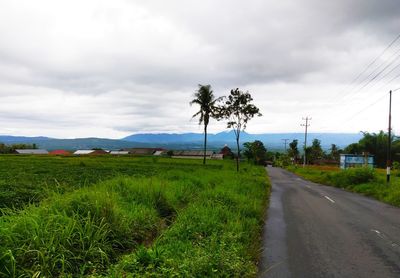 Road amidst plants and trees against sky