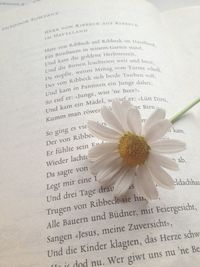 Close-up of white flower on book