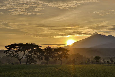 Scenic view of field against sky during sunset