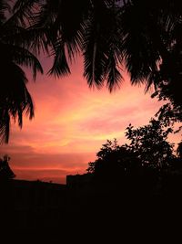 Low angle view of silhouette trees against sky at sunset