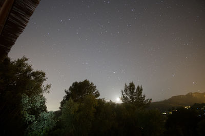Low angle view of trees against sky at night