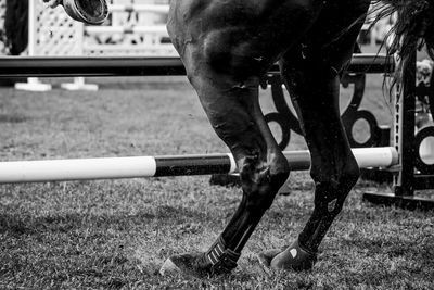 Horse jumping, equestrian sports, show jumping competition themed photograph.