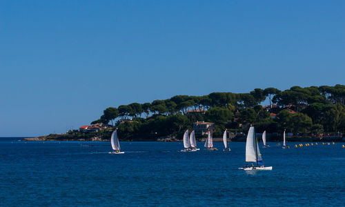 Sailboat in sea against clear blue sky