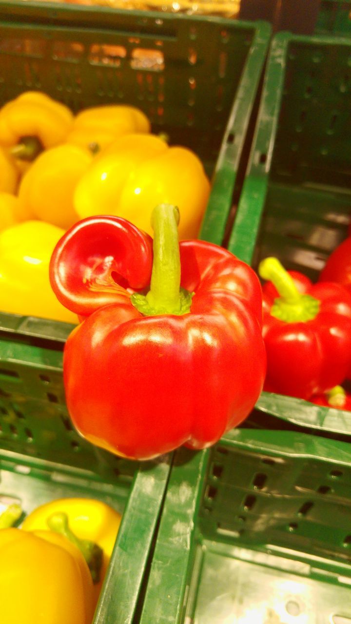 CLOSE-UP OF BELL PEPPERS