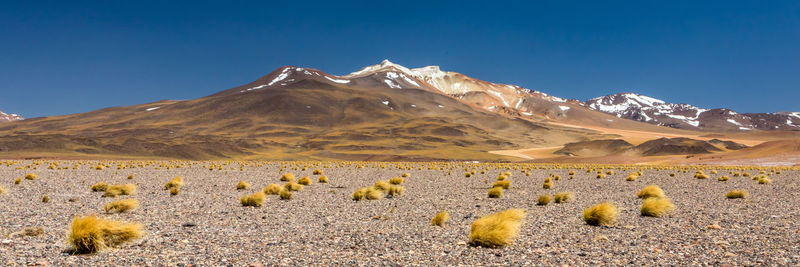 Scenic view of snowcapped mountains against clear blue sky