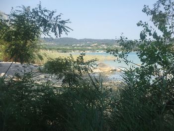 Scenic view of beach against sky