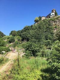 Plants and trees by building against clear blue sky