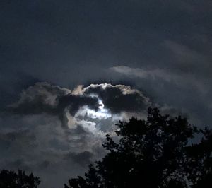 Low angle view of silhouette trees against sky at night