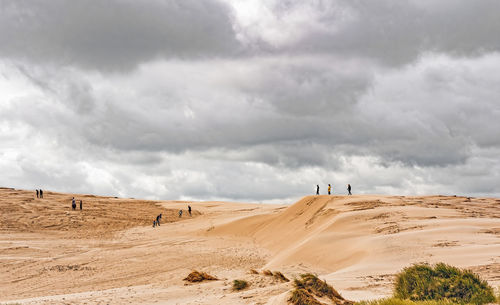 Scenic view of desert against sky