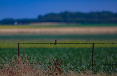 Fence on field against sky