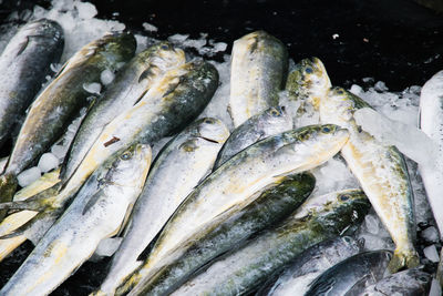 High angle view of fish for sale in market