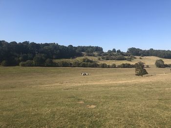 Scenic view of landscape against clear sky