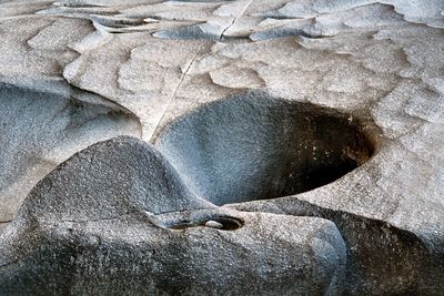 High angle view of crab on beach