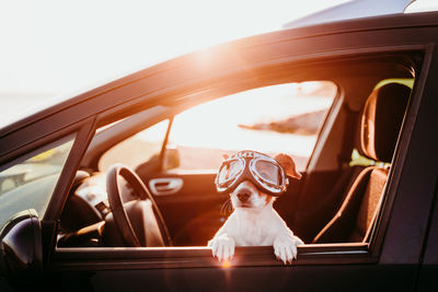 Woman sitting by car window against sky