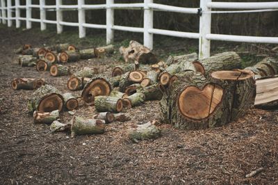 Stack of firewood on field