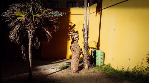 Man in bear costume urinating in yard